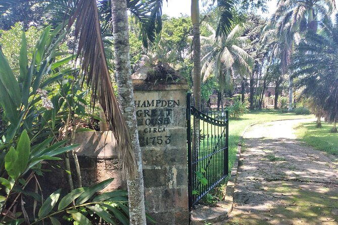 Private Hampden Estate Rum Tour from Montego Bay or Falmouth - Getting the most out of your morning at Hampden