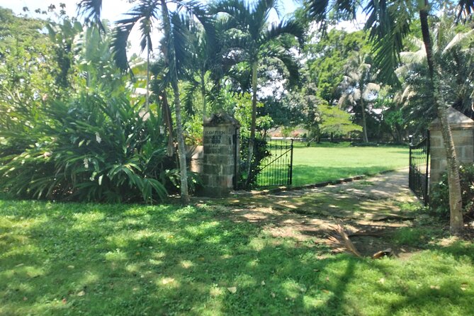 Private Hampden Estate Rum Tour from Montego Bay or Falmouth - Price and value from Montego Bay or Falmouth