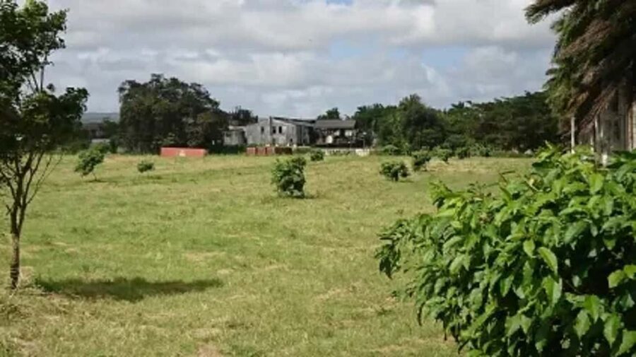 Private Hampden Estate Rum Trip from Montego Bay - Key things I’d watch for