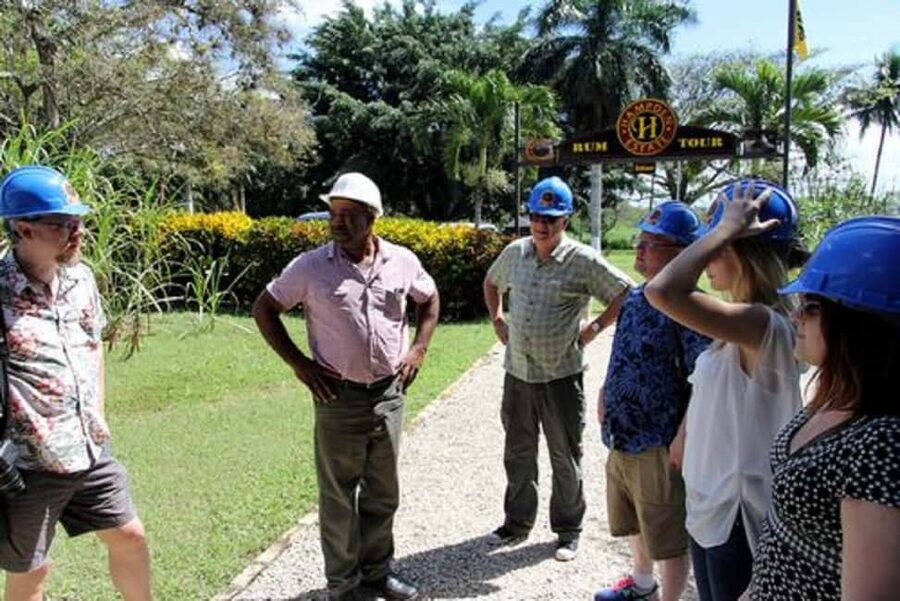 Private Hampden Estate Rum Trip from Montego Bay - Getting picked up in Montego Bay: what actually runs smoothly