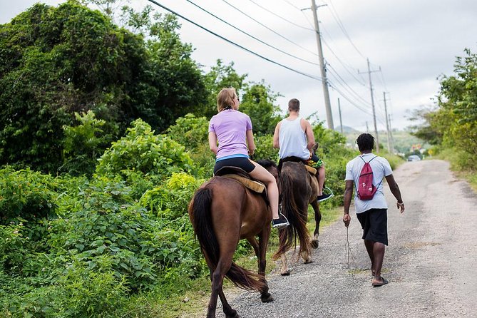 Private Horseback Riding from Ocho Rios with Guide - Private Horseback Riding From Ocho Rios: What You’ll Actually Do