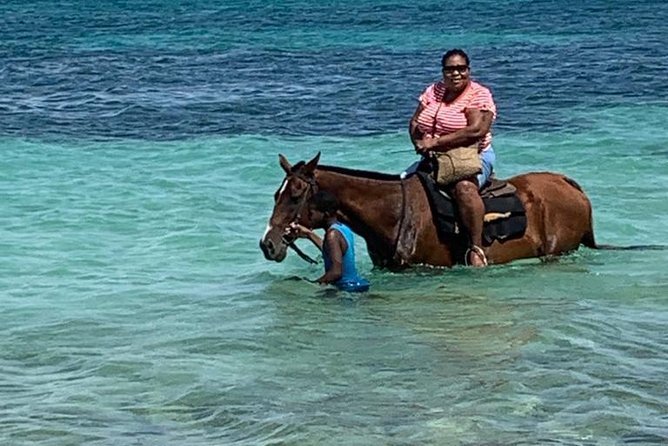 Private Horseback Riding from Ocho Rios with Guide - The Start: Horse Selection and a Close Guide