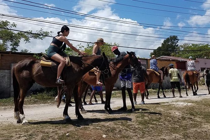 Private Horseback Riding from Ocho Rios with Guide - The Countryside Trail: More Than a Ride Around