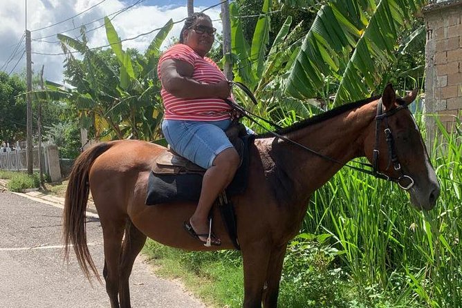 Private Horseback Riding from Ocho Rios with Guide - How Pickup Works From the Cruise Port or Your Hotel