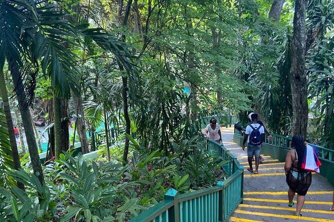 Private Horseback Riding, Swimming and Dunn's River Falls Tour - Why This Montego Bay Combo Works So Well