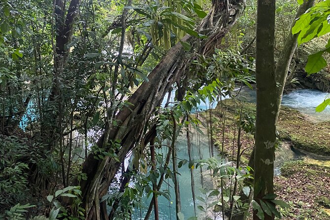 Private Horseback Riding with Blue Hole River Tour in Montego Bay - Why This Blue Hole and Discover Bay Horse Tour Works as a Half Day