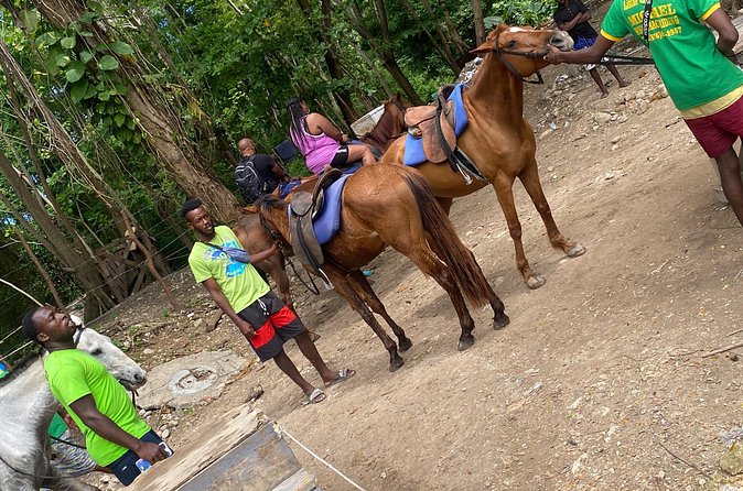 Private Horseback Riding with Blue Hole River Tour in Montego Bay - The Photographer Factor: How You Turn a Quick Day Into Real Memories
