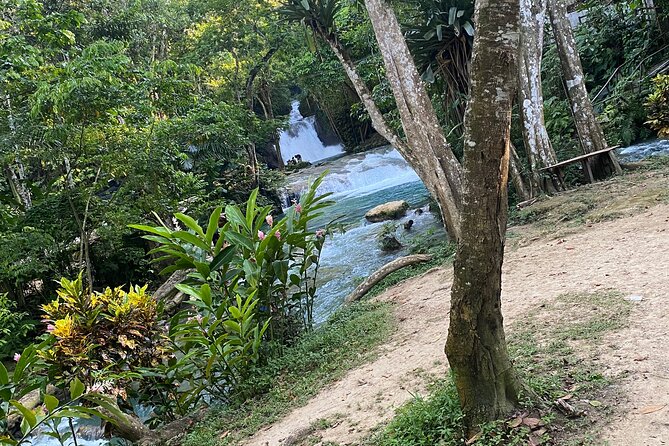 Private Horseback Riding with Blue Hole River Tour in Montego Bay - What’s Included, What’s Not, and How to Pack Like a Pro
