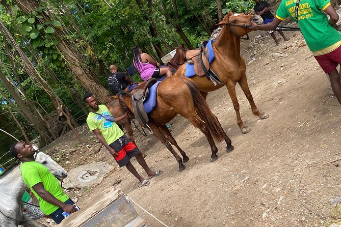 Private Horseback Riding with Blue Hole River Tour in Montego Bay - Service You Can Expect: Guides, Drivers, and the Little Moments That Matter