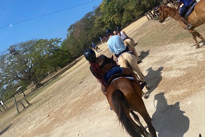 Private Horseback Riding with Blue Hole River Tour in Montego Bay - Getting From Montego Bay: Pickup, Air-Conditioned Comfort, and Real Drive Time