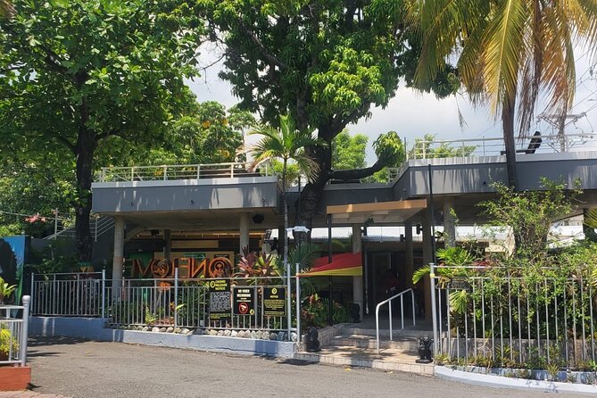 Private Kingston and Bob Marley Museum Tour from Ocho Rios - The Bob Marley Museum Window: Plan for the 11:00 AM to 4:30 PM Daylight Slot