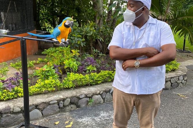 Private Konoko Falls and Blue Hole Combo Tour from Ocho Rios - Stop at Marvyns Paradise Tours and the Old Hydro Plant