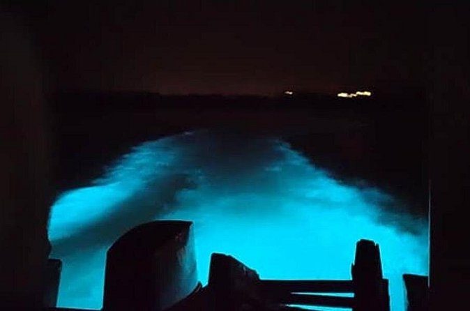 Private Luminous Blue Lagoon Night Tour in Falmouth - The Luminous Lagoon boat ride, then the light-up water