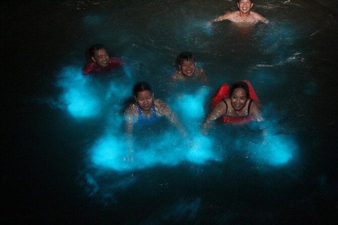 Private Luminous Blue Lagoon Night Tour in Falmouth - Should you book this Private Luminous Blue Lagoon Night Tour?