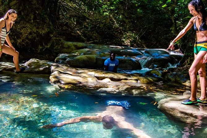 Private Mayfield Falls Waterfalls Tour [ Transportation ] - Mayfield Falls in Westmoreland: a calmer kind of waterfall day