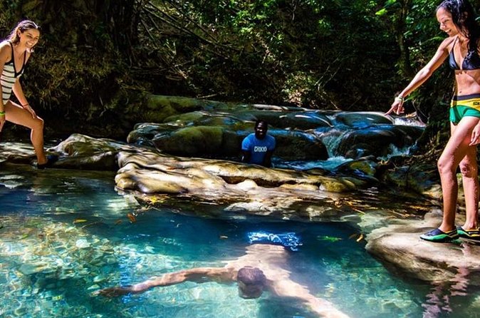 Private Mayfield Falls Waterfalls Tour [ Transportation ] - Who this private Mayfield Falls tour is best for