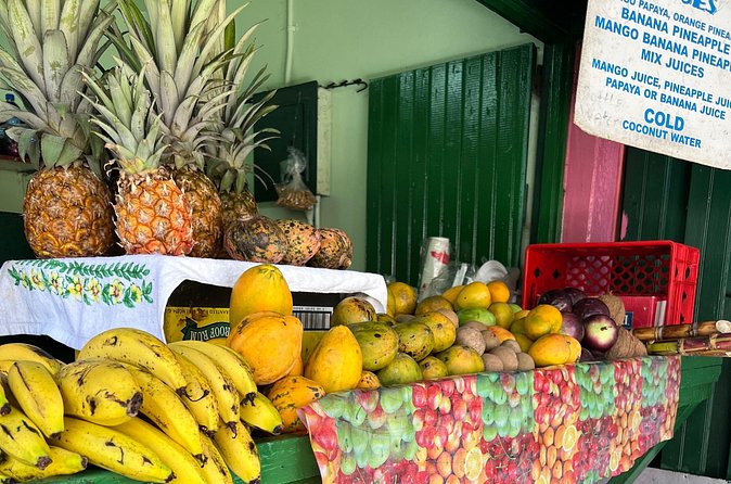 Private Montego Bay Customized Tour with Pickup and Guide - Price and value for a 3-hour private tour