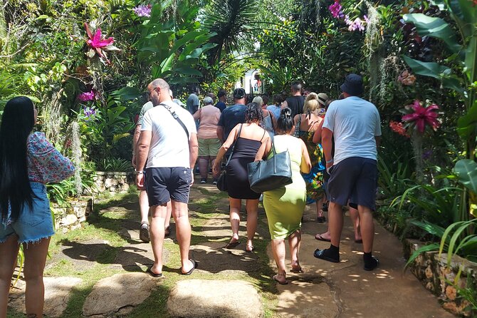 Private Nine Mile Tour from Montego Bay - Who this tour suits best, and when to think twice