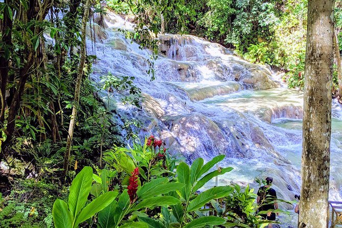 Private Ocho Rios highlight tour - Why This Ocho Rios 4-Hour Combo Works So Well