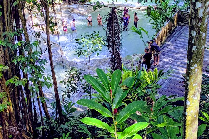 Private Ocho Rios highlight tour - Stop 1 at Dunn’s River Falls, Climbing, Swimming, and Jumping Time