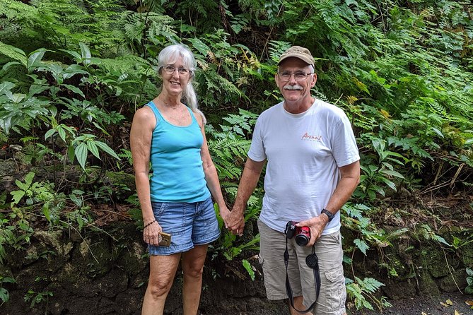 Private Ocho Rios highlight tour - Stop 2 at Fern Gully, a Short Rainforest Change of Pace