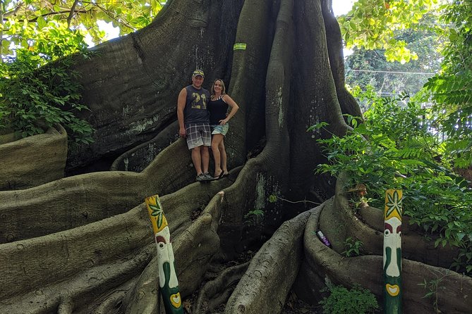 Private Ocho Rios highlight tour - What the Private Format Means for Your Real Experience