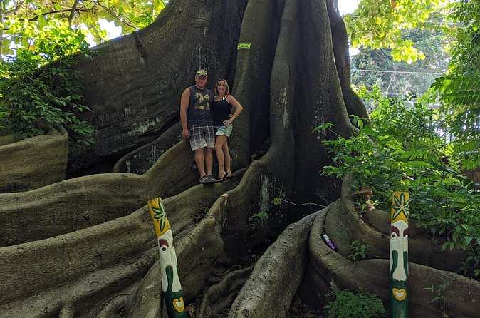 Private Ocho Rios highlight tour - Practical Tips for Dunn’s River: Wear, Carry, and Pace