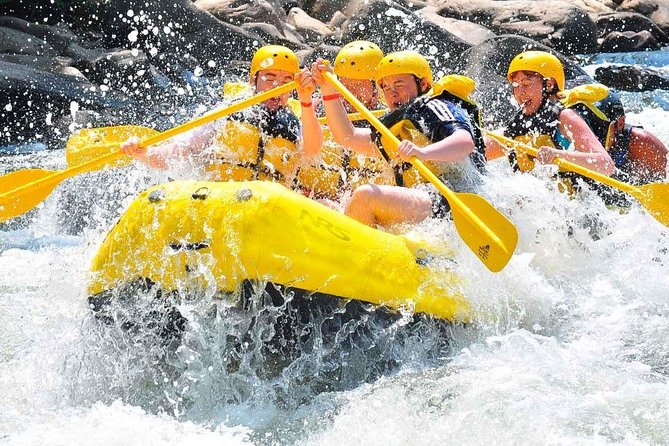 Private Rio Bueno River Adventure from Montego Bay - Key Highlights You Should Know