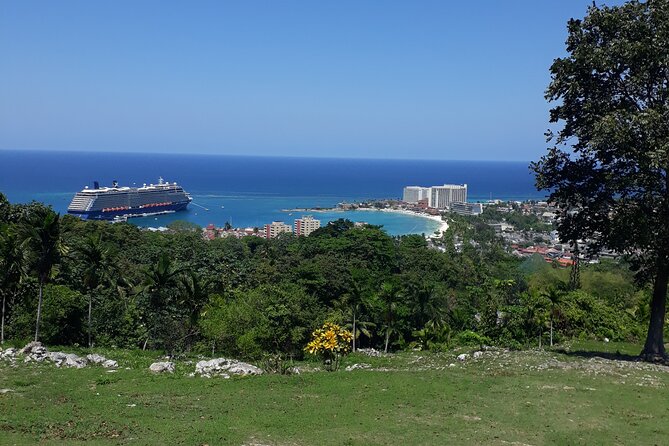 Private Sightseeing Tour from Ocho Rios - Fern Gully: 350+ Ferns, Mountain Views, and a Real Nature Focus
