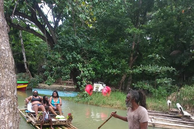 Private Sightseeing Tour in & Around Ocho Rios - Botanical Gardens Vicinity: Medicinal Plants and Spice Talk