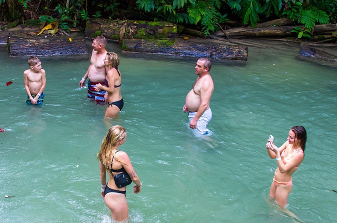 Private Tour - Dunn's River Falls and Ocho Rios Experience from Ocho Rios - Private setup: flexibility for small groups and families