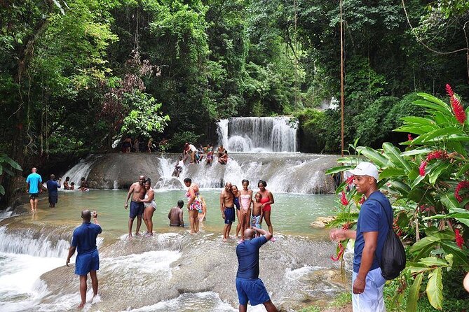 Private Tour from Negril to YS Falls and Pelican Bar - Key Highlights You Should Know Before You Go