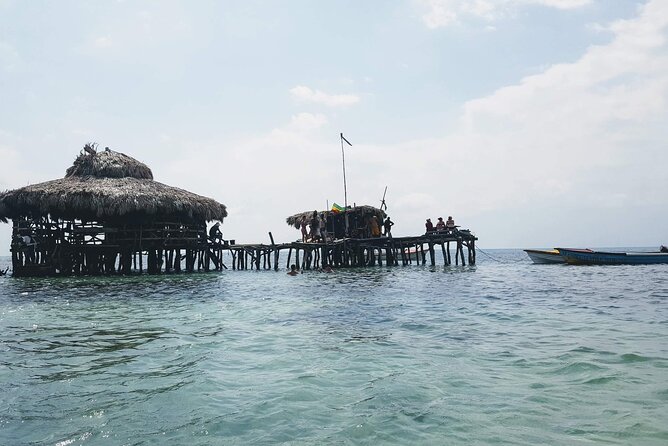 Private Tour from Negril to YS Falls and Pelican Bar - Alligator Pond Bamboo Avenue: A Quick Photo Stop With Real Atmosphere