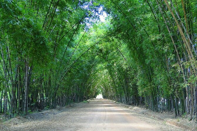 Private Tour from Negril to YS Falls and Pelican Bar - Price and Value for Two: Is $500 a Good Deal?