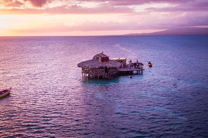 Private Tour from Negril to YS Falls and Pelican Bar - Tips to Get the Best Day Out of This Route