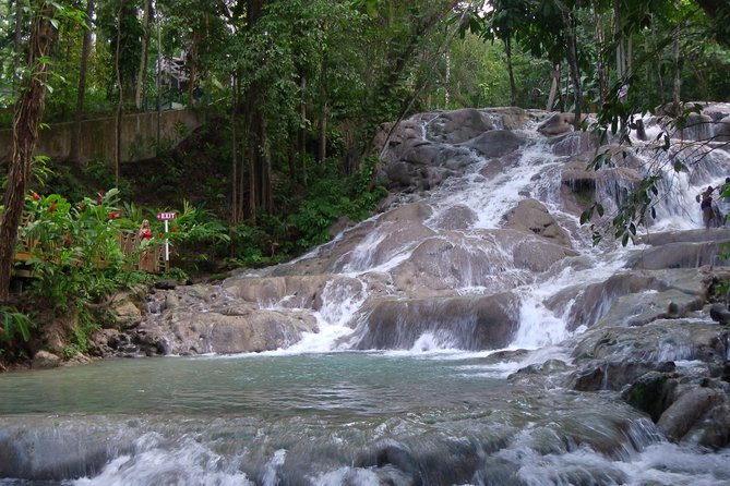 Private Tour From Ocho Rios To Dunn's River Falls - Meet your guide and get set up fast at the park