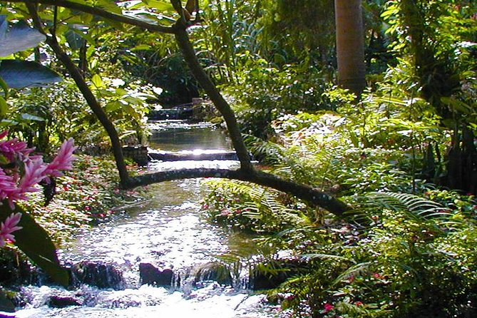Private Tour From Ocho Rios To Konoko Falls And Garden and Shopping - Key highlights to know before you go