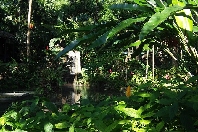 Private Tour From Ocho Rios To Konoko Falls And Garden and Shopping - The viewpoint over Ocho Rios from up top
