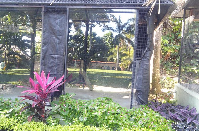 Private Tour From Ocho Rios To Konoko Falls And Garden and Shopping - Transportation value: why $80 can make sense for a private tour