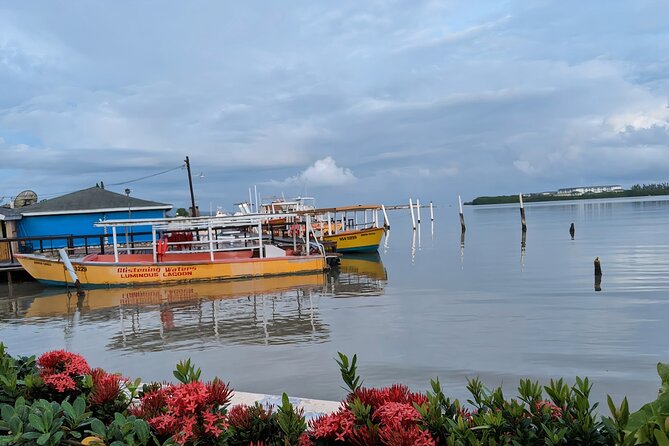 Private Tour in the Glistening Waters from Montego Bay - Why a Luminous Lagoon Boat Ride Works So Well for First-Timers
