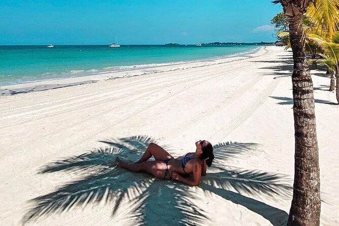 Private Tour Negril Beach and Rick's Cafe From Montego Bay - Comfort, Access, and Who This Day Trip Fits