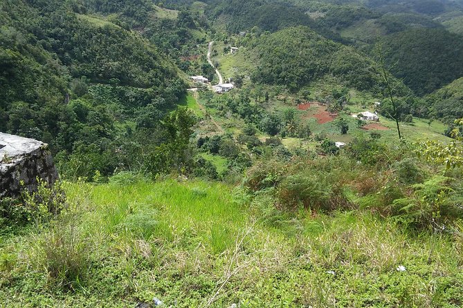 Private Tour Ocho Rios or Runaway Bay To 9 Mile Bob Marley Birth & Resting Place - What to Expect at Each Stage of the Schedule