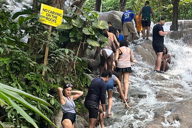 Private Tour To Blue Hole and Dunn’s River from Montego Bay - Private Montego Bay Comfort, Then Two Water Stops