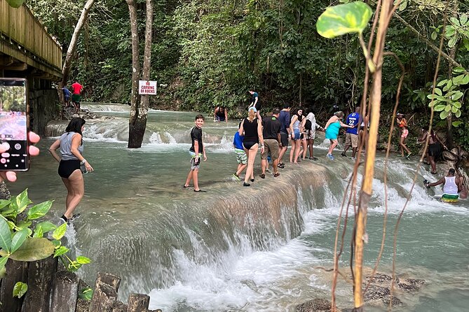 Private Tour To Blue Hole and Dunn’s River from Montego Bay - The Guide Experience: Why Barrington Gets Mentioned So Often
