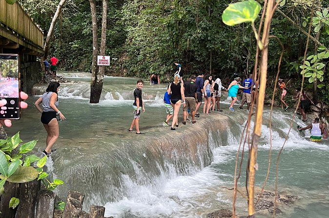 Private Tour To Blue Hole and Dunn’s River from Montego Bay - Who This Tour Fits Best