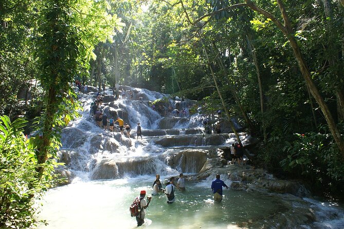 Private Tour to Dunns River and Horseback Riding with Local Guide - Key Highlights You Can Count On