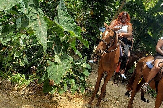 Private Tour to Dunns River and Horseback Riding with Local Guide - Horseback Riding Along Jamaica’s Coast: The Calm After the Falls