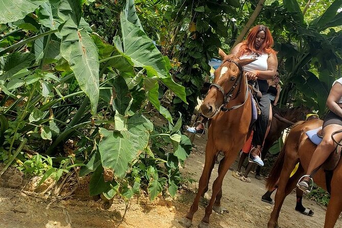 Private Tour to Dunns River and Horseback Riding with Local Guide - What the Schedule Means for Your Day From Montego Bay