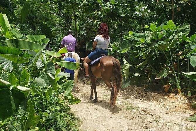 Private Tour to Dunns River and Horseback Riding with Local Guide - Entering Dunns River Falls: What the Climb Feels Like and How to Prepare
