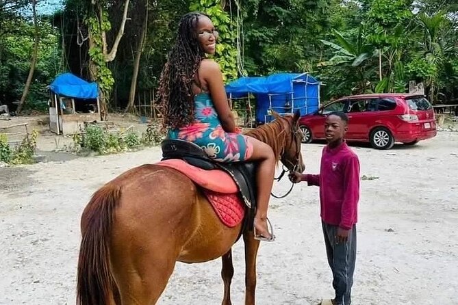 Private Transfer from Montego Bay to Dunns River Falls - Price and value: is $125 per person fair for this private setup?